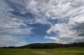 aranda bush sky